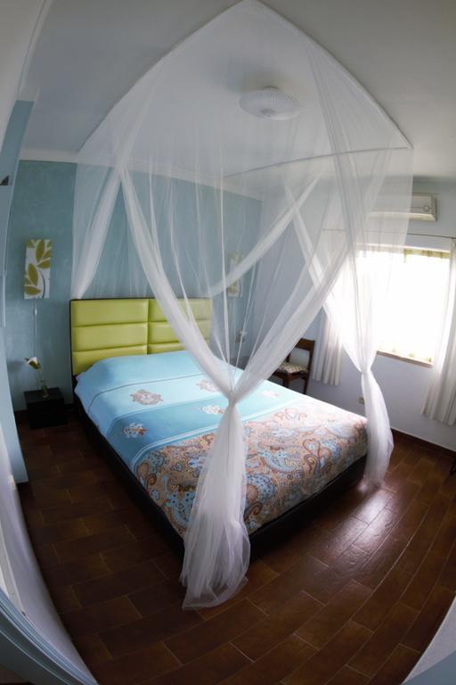Bed and Breakfast Casa Das Andorinhas à Palmela Extérieur photo