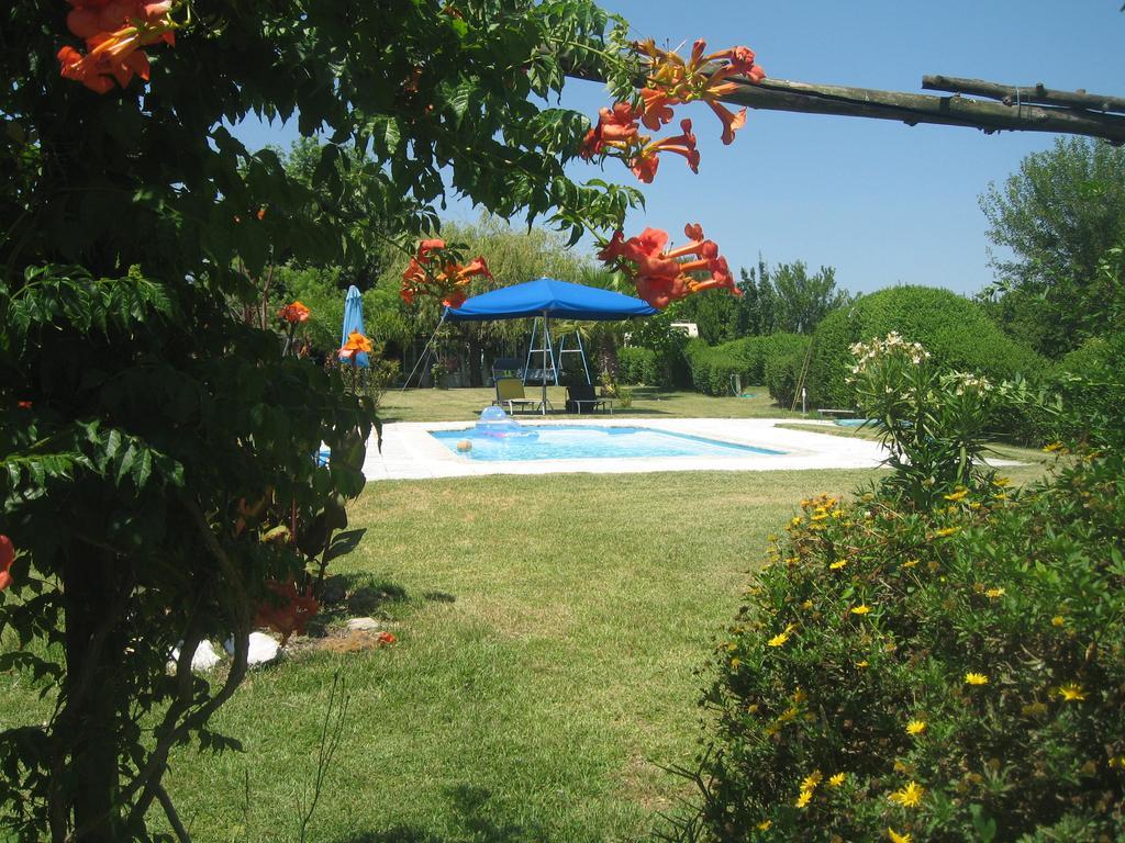 Bed and Breakfast Casa Das Andorinhas à Palmela Extérieur photo