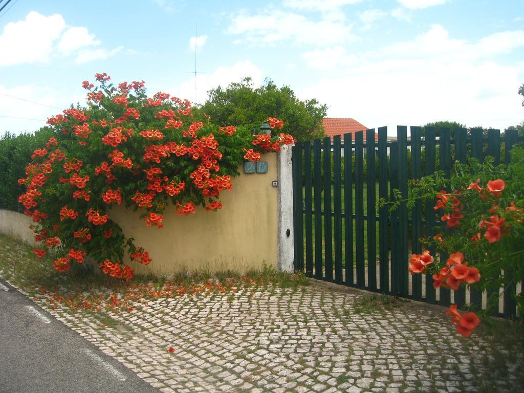 Bed and Breakfast Casa Das Andorinhas à Palmela Extérieur photo